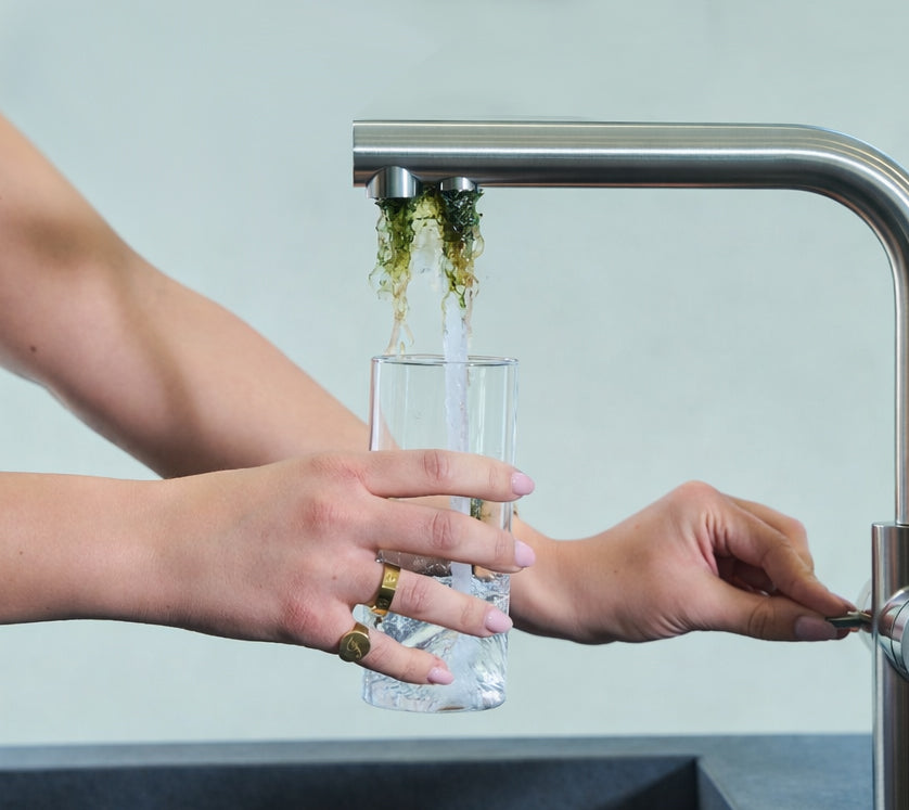 Biofilm, algae formation, and oxidation on kitchen taps, is this dangerous?